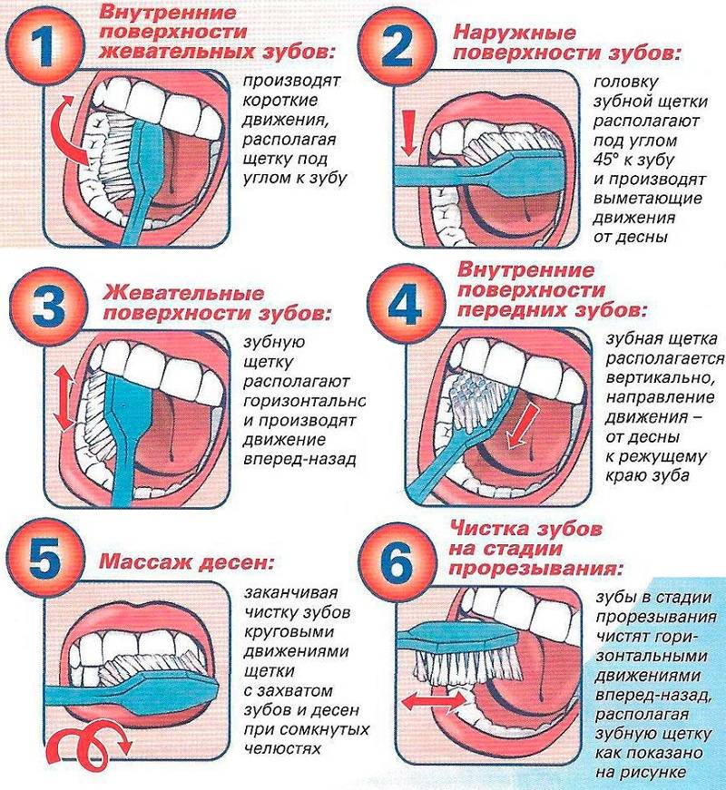 Как правильно чистить зубы